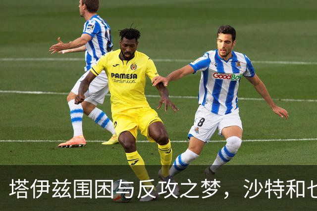 塔伊兹围困与反攻之梦，沙特和也门政府能否逆转局势？